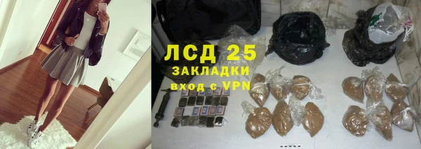 мяу мяу мука Арсеньев