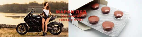 мяу мяу мука Арсеньев