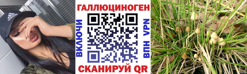 Галлюциногенные грибы Magic Shrooms Дорогобуж